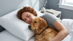 犬と同じベッドで寝る――それは良いことなのか、それとも良くないことなのか