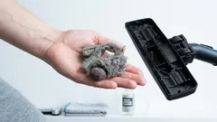 家の中で掃除し忘れがちな場所：完璧な掃除のためのガイド