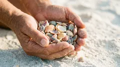 ビーチでの夏：持参できるものと持ち込み禁止のもの