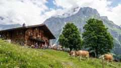 これらの国々では、観光客は温かく迎えられます。ストレスのない旅が楽しめます