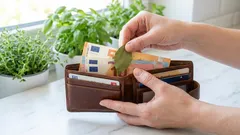 財布の中のローリエ:今も効くおばあちゃんの秘訣