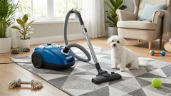 春の抜け毛：カーペットからペットの毛を取り除く