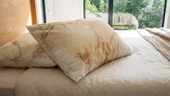 枕についた不審なシミ：その正体は