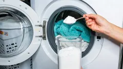 アイロンがけはもう時代遅れ：洗濯機に大さじ5杯入れるだけで、シワのない清潔な仕上がり