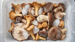 冷凍庫でキノコを正しく保存する方法：失敗しない冷凍術 — 専門家のアドバイス