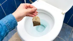 家を出る前にトイレにティーバッグを入れておくべき理由――その仕組みとは