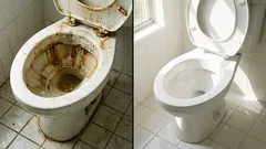 主婦の知恵：手間をかけずにトイレを掃除する方法